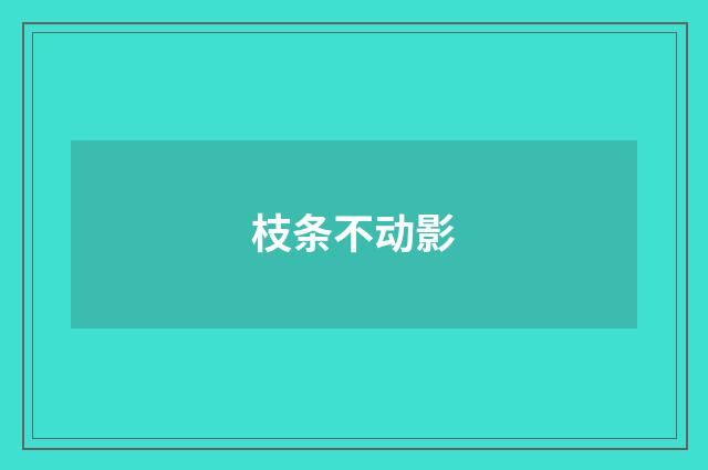 枝条不动影