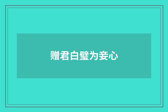赠君白璧为妾心