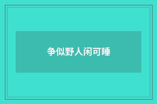 争似野人闲可睡