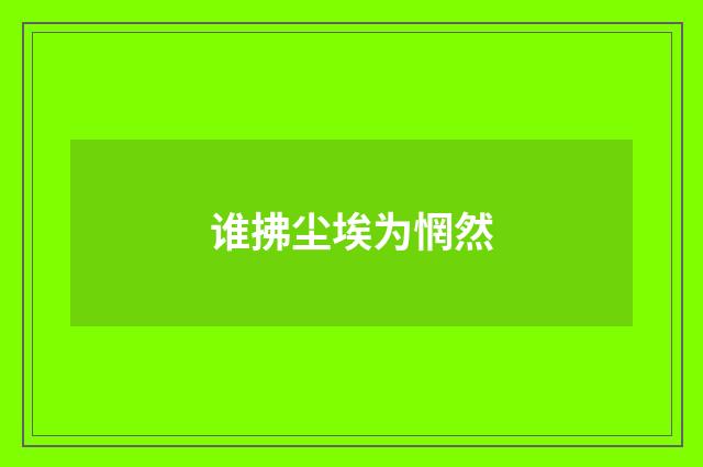 谁拂尘埃为惘然