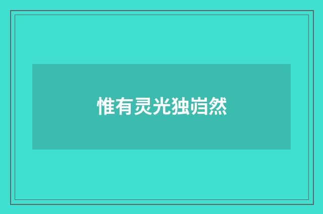惟有灵光独岿然