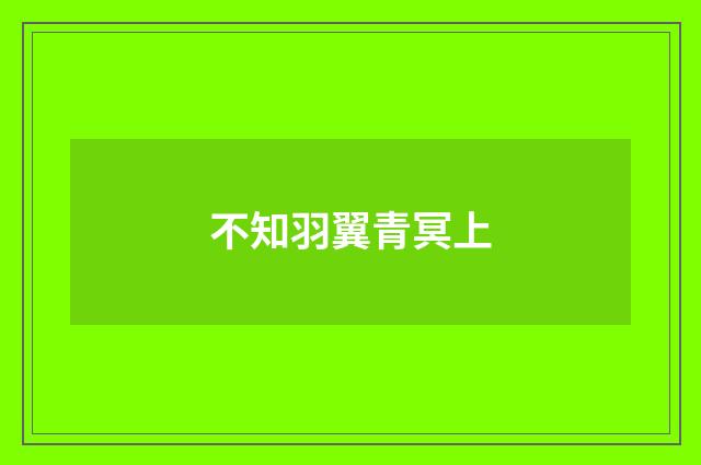 不知羽翼青冥上