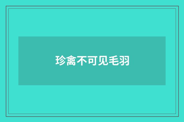 珍禽不可见毛羽
