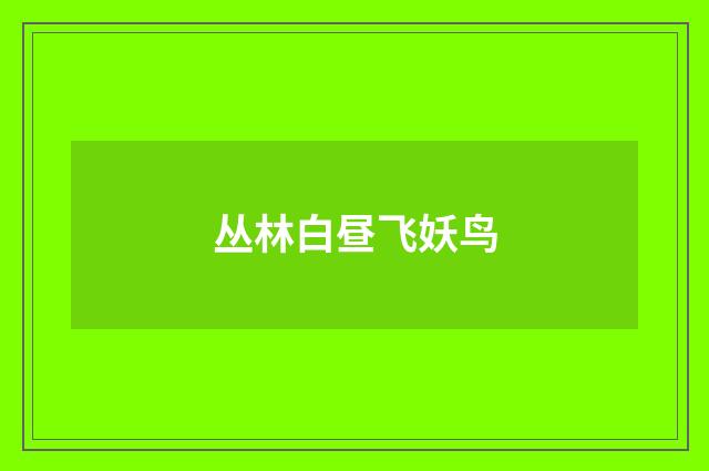 丛林白昼飞妖鸟