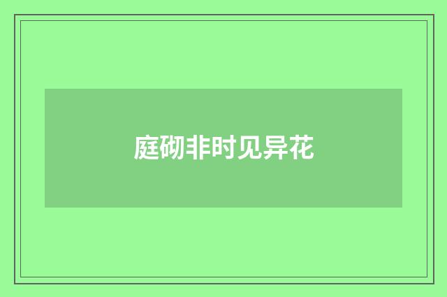 庭砌非时见异花