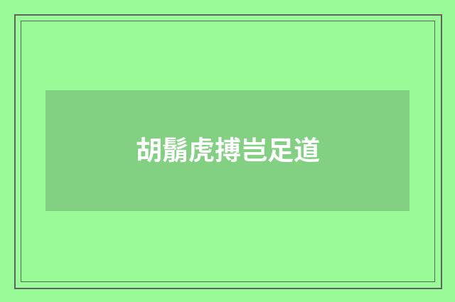 胡鬅虎搏岂足道