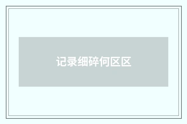 记录细碎何区区
