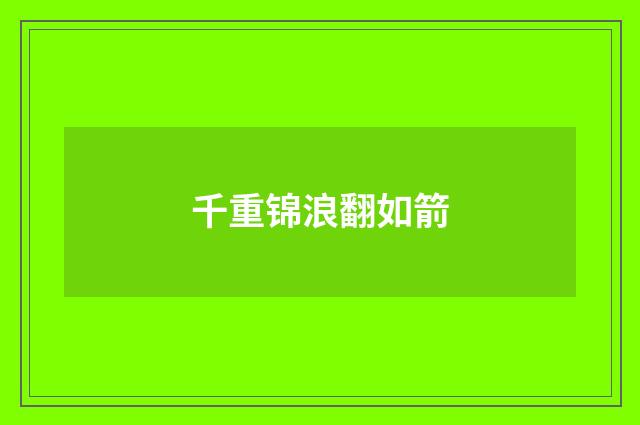 千重锦浪翻如箭