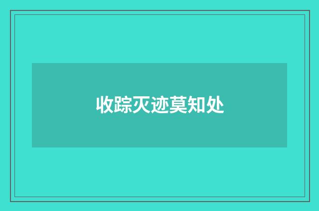 收踪灭迹莫知处