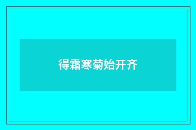 得霜寒菊始开齐