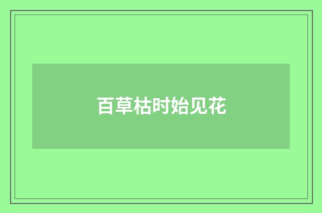 百草枯时始见花