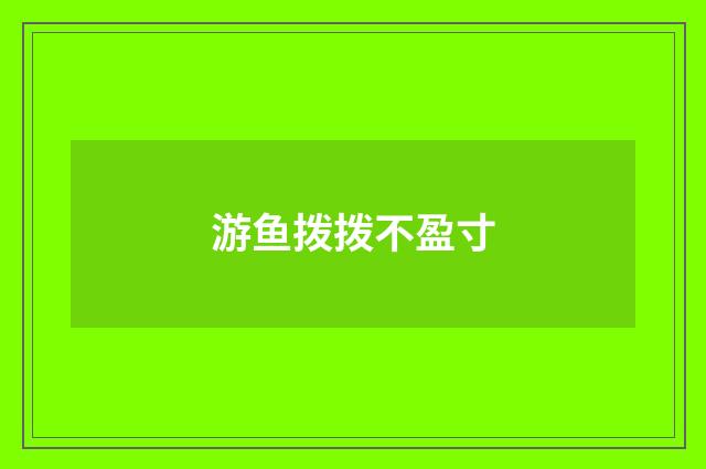 游鱼拨拨不盈寸