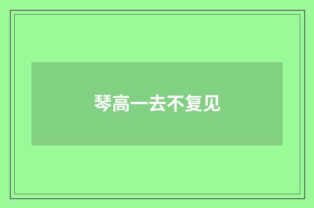 琴高一去不复见