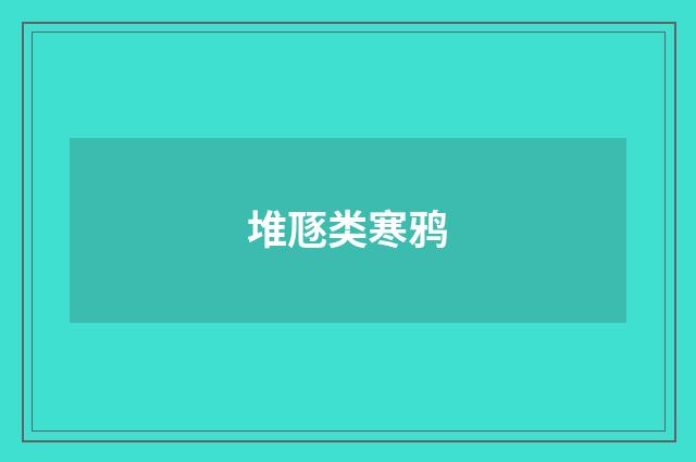 堆豗类寒鸦