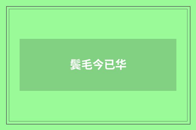 鬓毛今已华