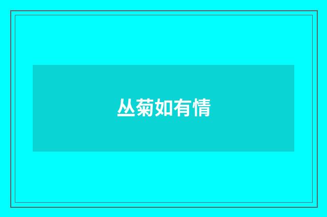 丛菊如有情