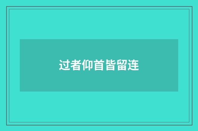过者仰首皆留连