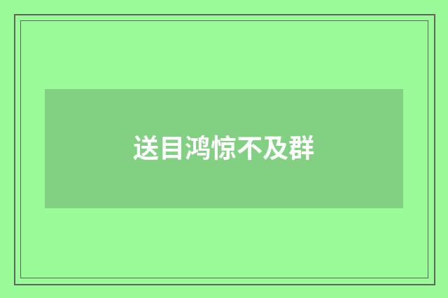 送目鸿惊不及群