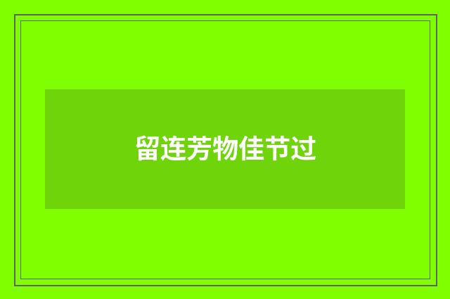 留连芳物佳节过