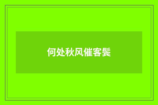 何处秋风催客鬓