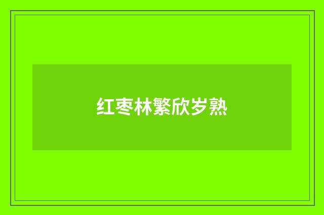 红枣林繁欣岁熟