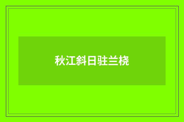 秋江斜日驻兰桡