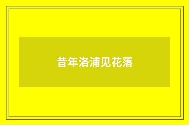 昔年洛浦见花落