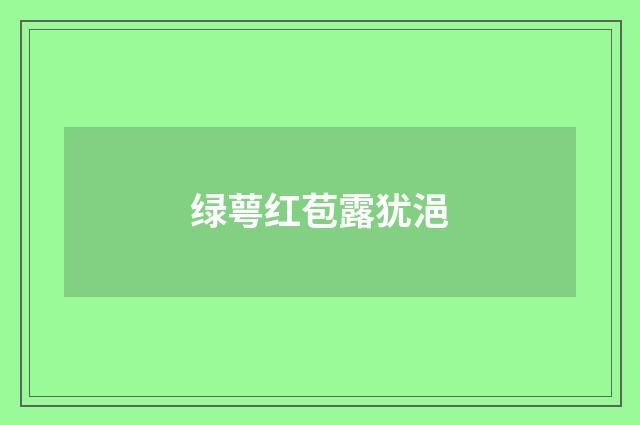 绿萼红苞露犹浥