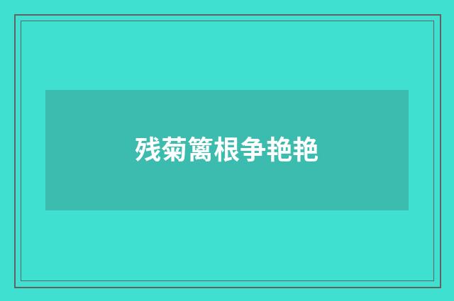 残菊篱根争艳艳