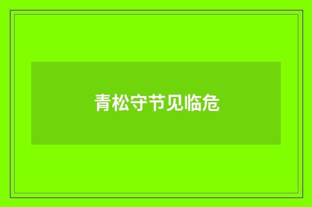 青松守节见临危