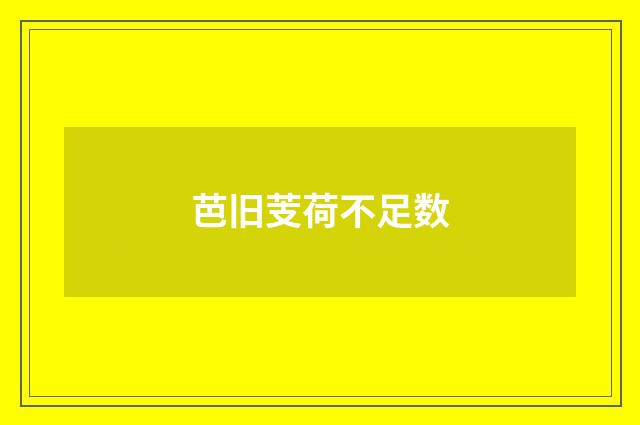 芭旧芰荷不足数