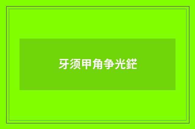 牙须甲角争光鋩