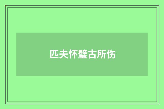 匹夫怀璧古所伤