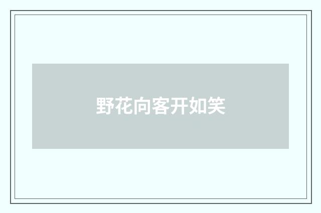 野花向客开如笑