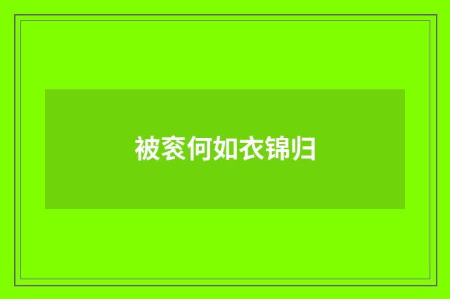 被衮何如衣锦归