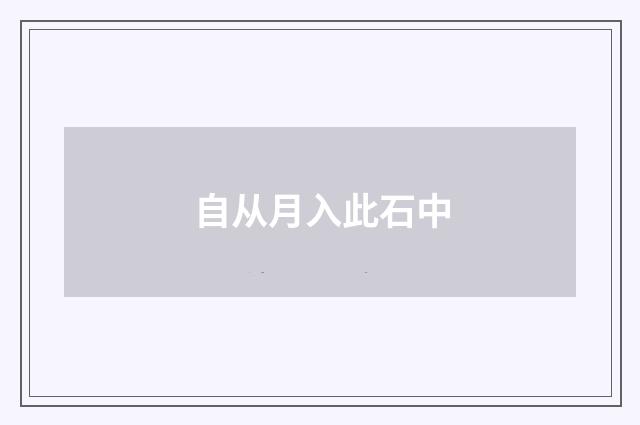 自从月入此石中
