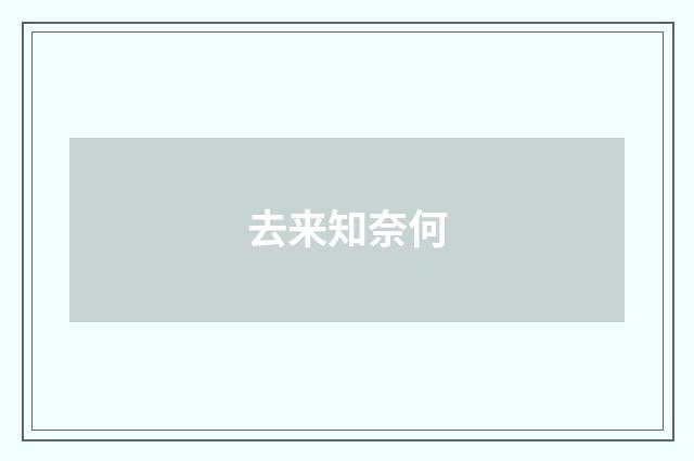 去来知奈何