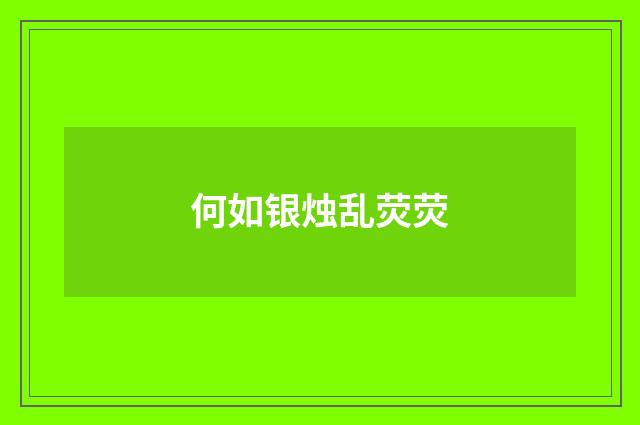 何如银烛乱荧荧