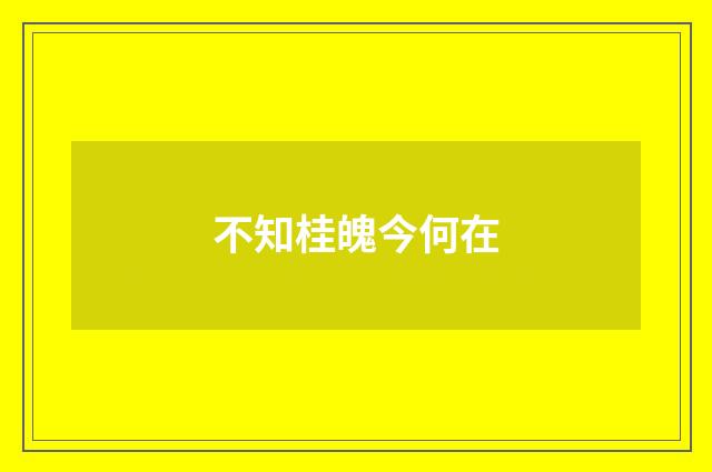 不知桂魄今何在
