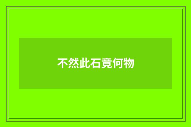 不然此石竟何物