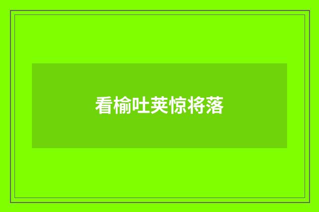 看榆吐荚惊将落