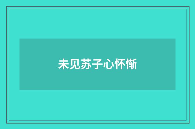 未见苏子心怀惭