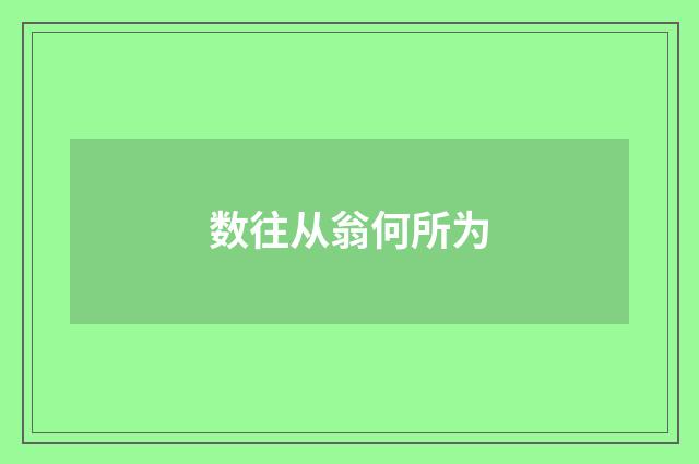 数往从翁何所为