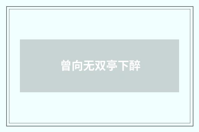 曾向无双亭下醉