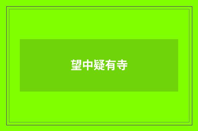 望中疑有寺