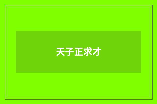 天子正求才