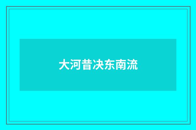 大河昔决东南流