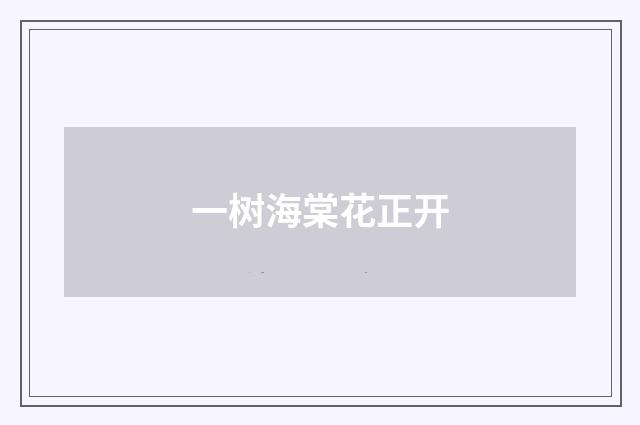 一树海棠花正开