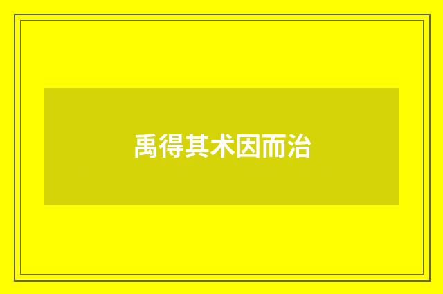 禹得其术因而治