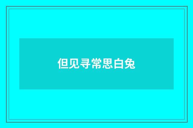 但见寻常思白兔